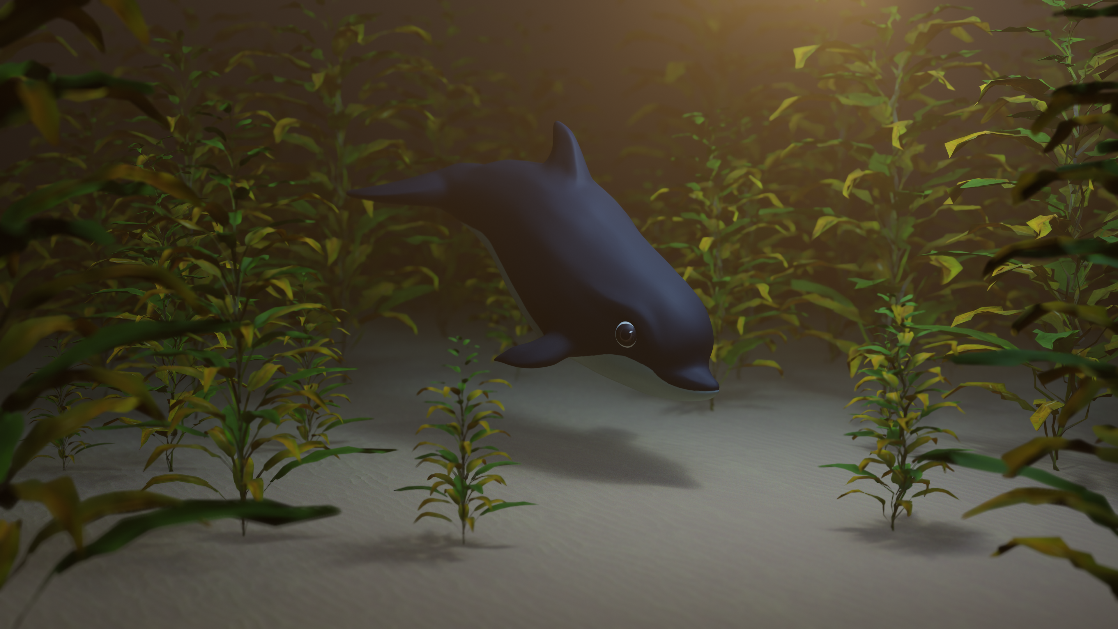 Dolphin
